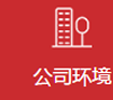 智誠(chéng)公司環(huán)境